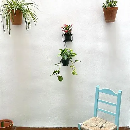 Apartment Piso En Casco Historico De